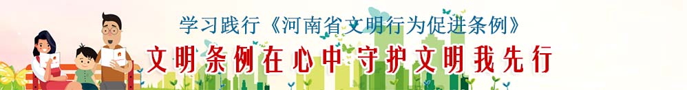 河南省文明出行條例